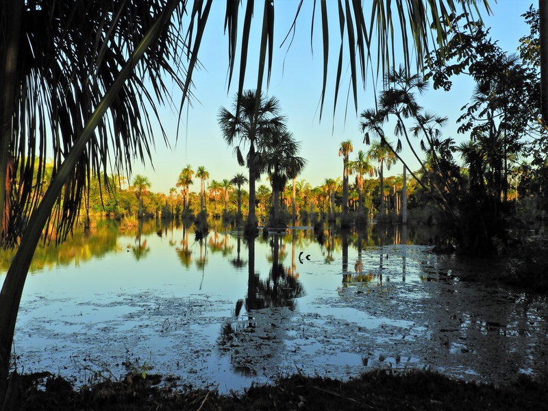Imagem: Mato Grosso é destaque em seleção dos 15 principais destinos de ecoturismo do Brasil para 2026
